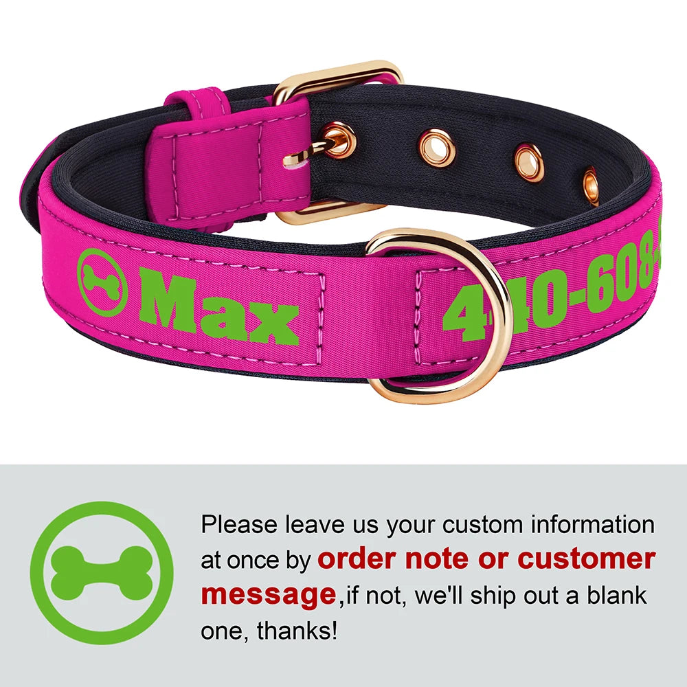Personalized Breathable Nylon Dog Collar with Soft Padding