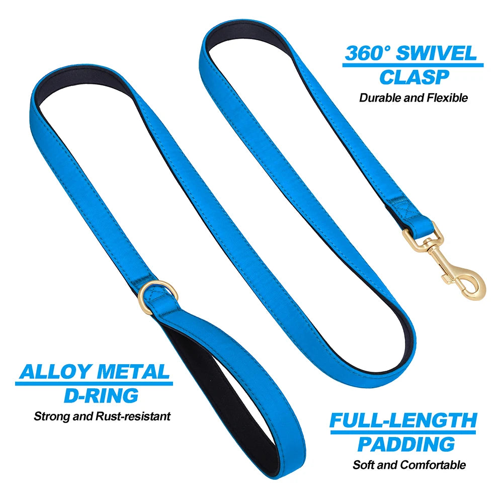 Vibrant Nylon Dog Leash – Heavy-Duty Walking Lead with Soft Padded Handle