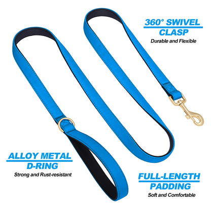 Vibrant Nylon Dog Leash – Heavy-Duty Walking Lead with Soft Padded Handle