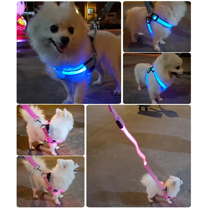 LumiPaws LED Safety Harness – Adjustable No-Pull Night-Glow Vest