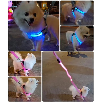 LumiPaws LED Safety Harness – Adjustable No-Pull Night-Glow Vest
