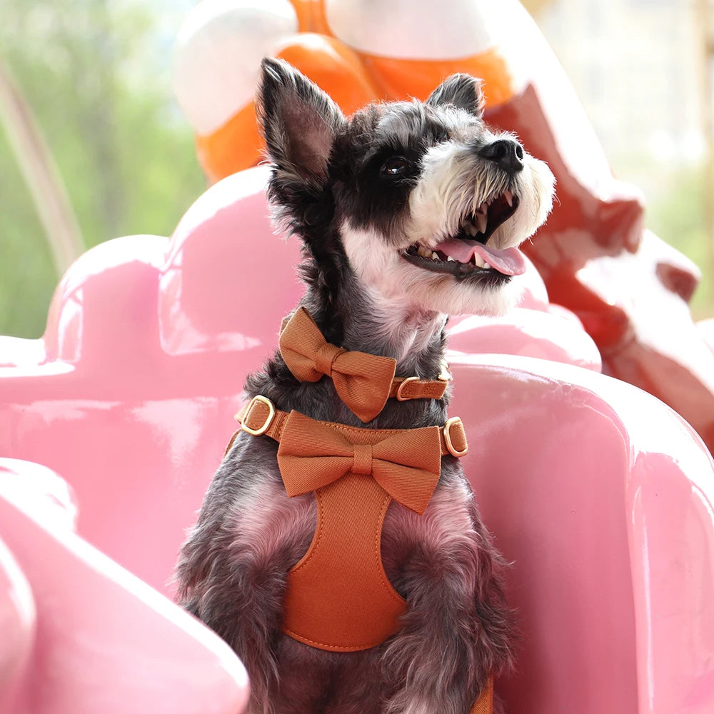 BowTie Charm 4-Piece Walking Set – Soft Vest Harness, Collar, Leash, and Poop Bag Holder