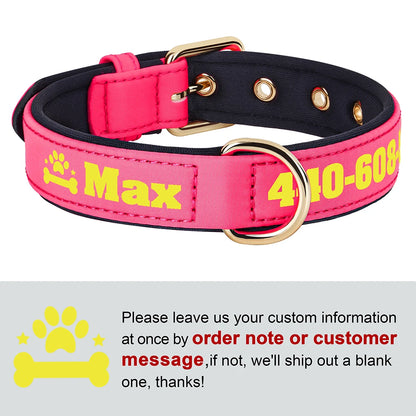 Personalized Breathable Nylon Dog Collar with Soft Padding