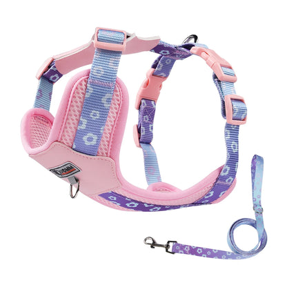Vibrant Gradient No-Pull Dog Harness & Leash Set for Small Dogs