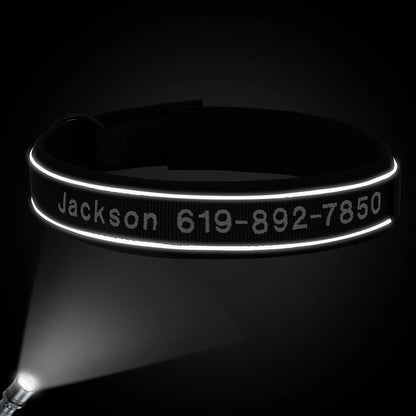 GuardGlow Personalized Embroidered Reflective Dog Collar – Premium Padded Night Safety for All Breeds