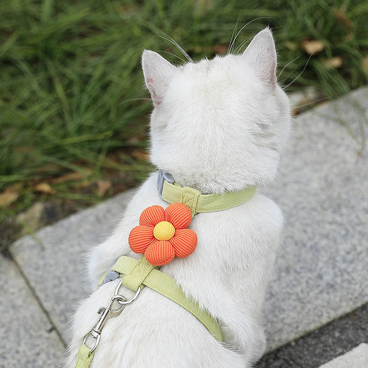 PawBreeze Adjustable Escape-Proof Harness & Leash Set – Breathable Comfort for Cats and Small Dogs