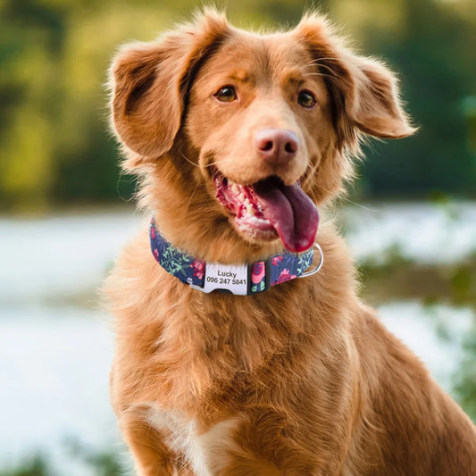 Blossom Charm: Personalized Floral Dog Collar with Engraved ID Tag