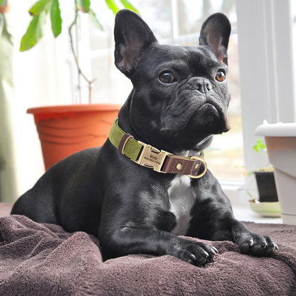 Personalized Leather Dog Collar - Custom Engraved ID with Durable Buckle