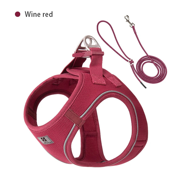 Reflective Comfort Harness & Leash Set for Small to Medium Dogs