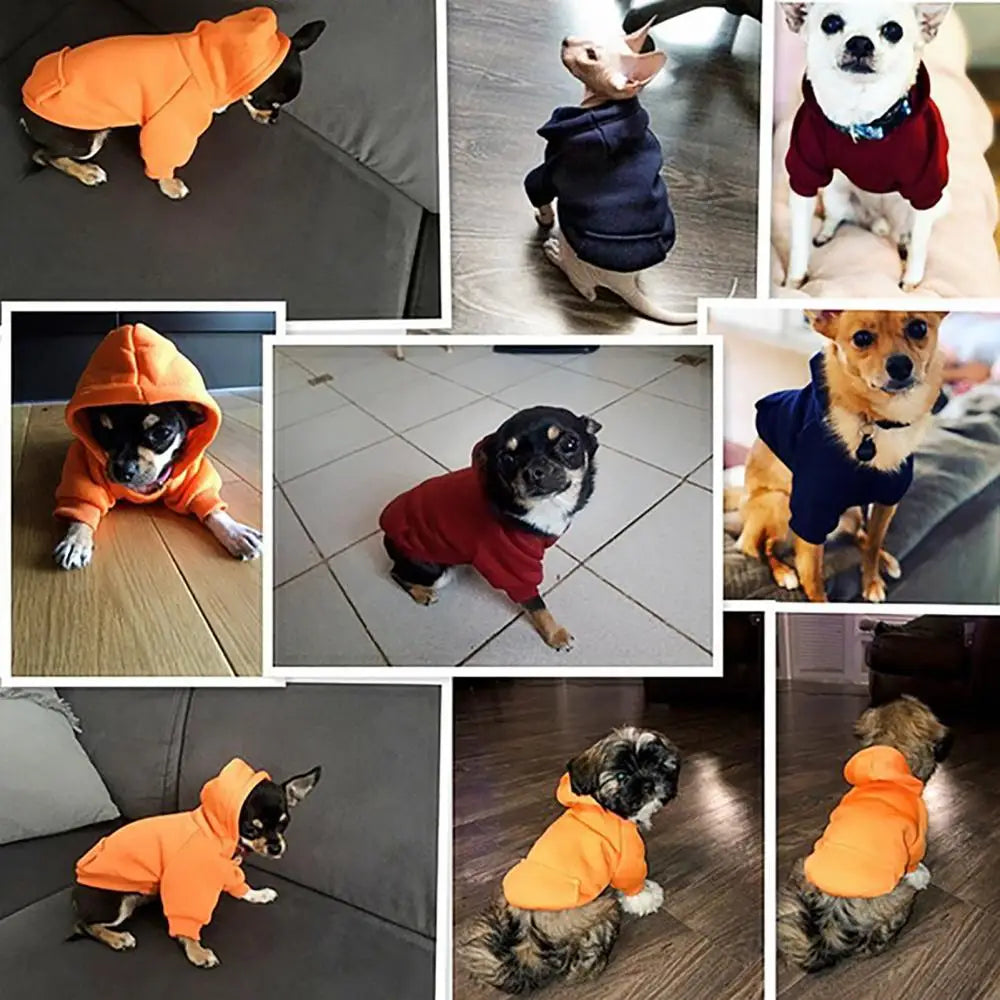 Paws-and-Pocket Cozy Fleece Hoodie – Classic Autumn/Winter Comfort for Dogs and Cats
