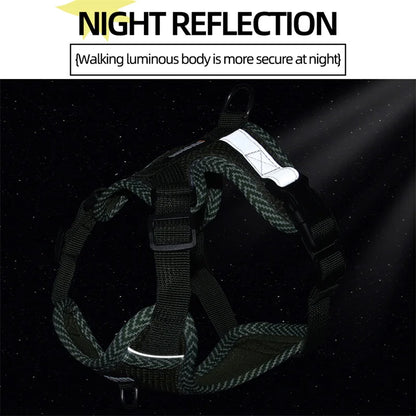 StrutStyle Fashion Reflective Mesh Harness & Leash Set – Premium Padded Outdoor Comfort for Cats and Small Dogs