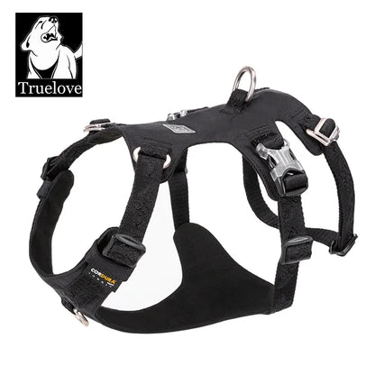 TrueFit Embroidered Nylon Dog Harness - Lightweight, Waterproof Comfort