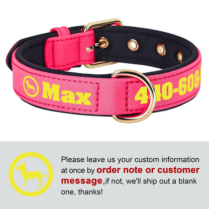 Personalized Breathable Nylon Dog Collar with Soft Padding