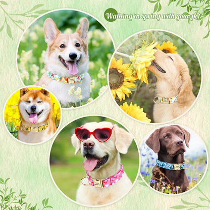 BlossomBuzz Personalized Nylon Dog Collar – Floral & Bee Print with Custom Pet ID