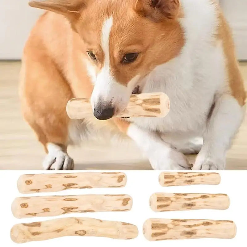 Natural Wooden Chew Stick for Aggressive Chewers - Safe, Durable, and Soothing