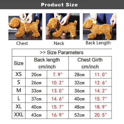 Chic Denim Dress: Summer Style for Small Dogs & Cats