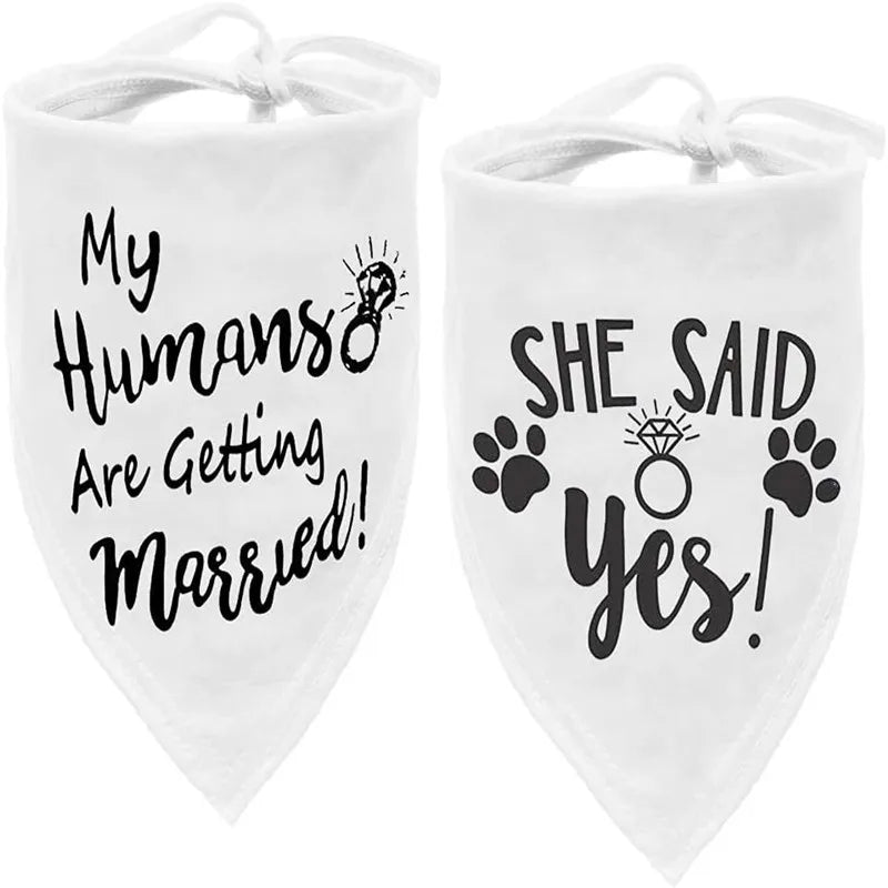 EverAfter Engagement & Wedding Pet Bandana – Charming Announcement Triangle Scarf