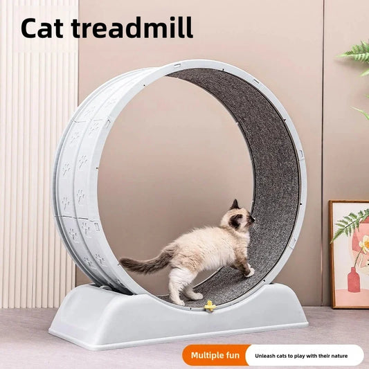 Purrfect Fitness: Easy-to-Assemble Cat Treadmill for Home Parkour