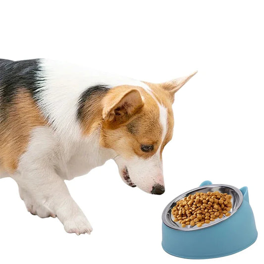 Stainless Steel Cat Bowl with Non-Slip Base – 15° Neck Protection Design
