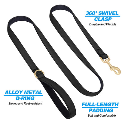 Vibrant Nylon Dog Leash – Heavy-Duty Walking Lead with Soft Padded Handle