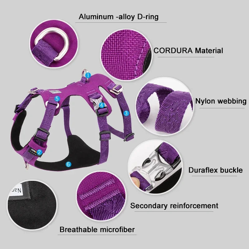 TrueFit Embroidered Nylon Dog Harness - Lightweight, Waterproof Comfort