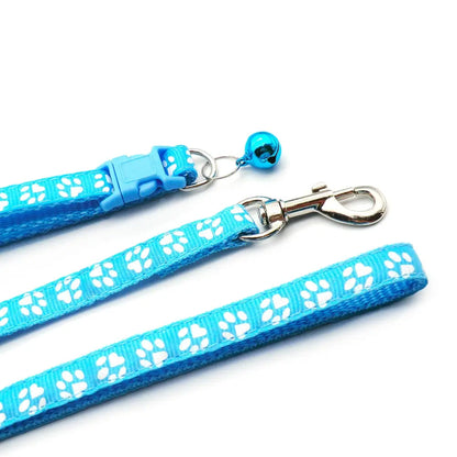Adjustable Printed Collar & Leash Set – Ultimate Outdoor Freedom for All Life Stages