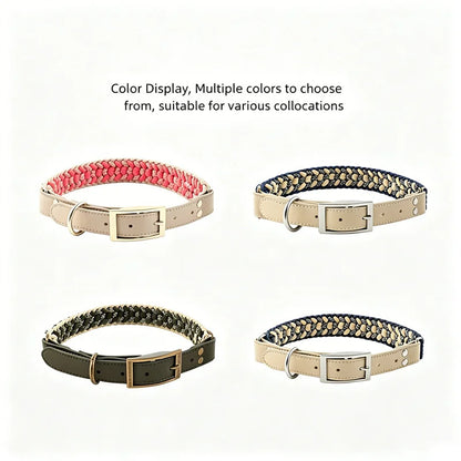 Luxury Hand-Woven Leash or Collar – Heavy-Duty Climbing Rope & Adjustable Leather Walkwear