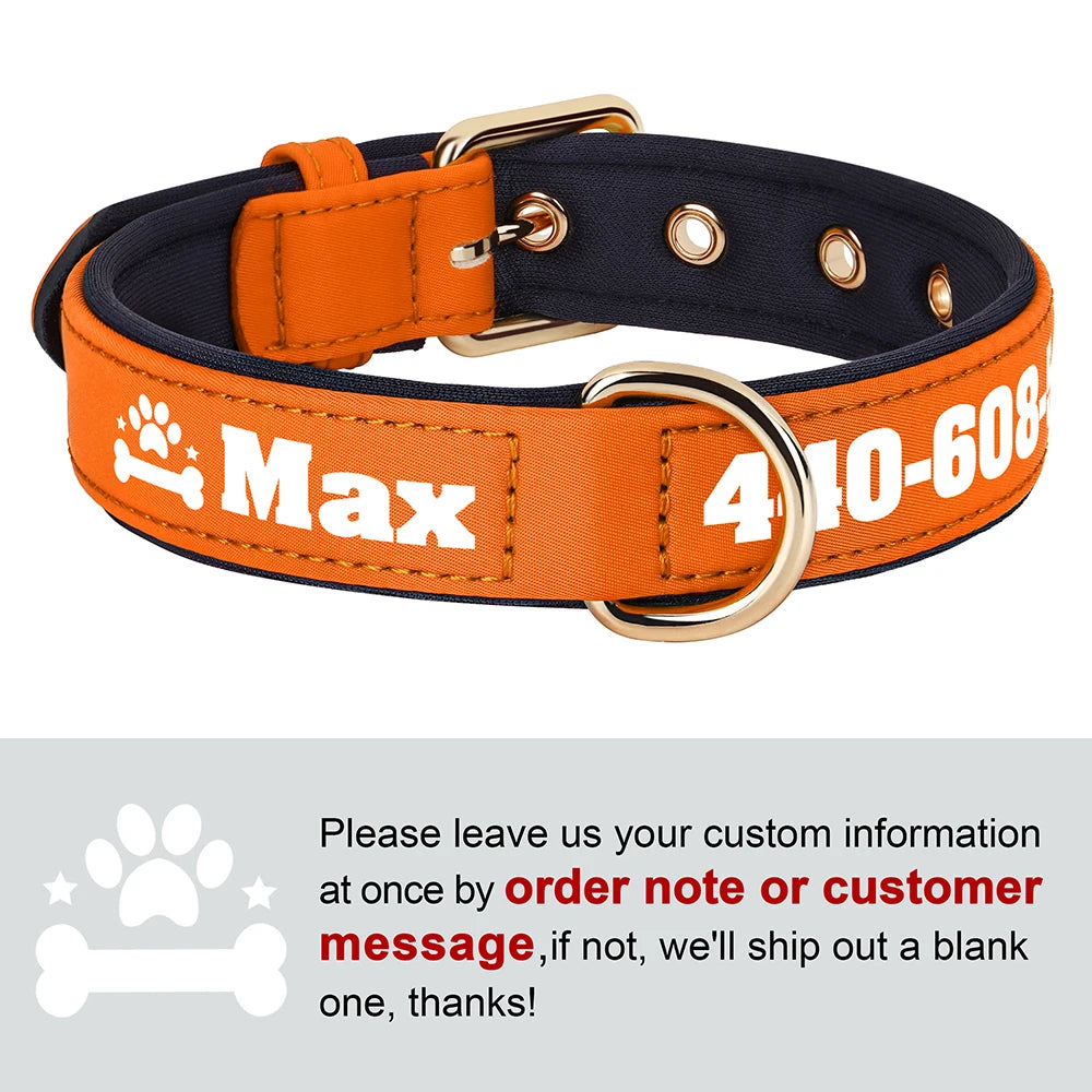 Personalized Breathable Nylon Dog Collar with Soft Padding