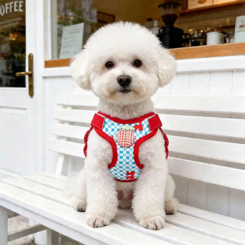 PlaidPaws Adjustable Vest Harness Set – Fashionable Anti-Slip Chest Strap & Leash