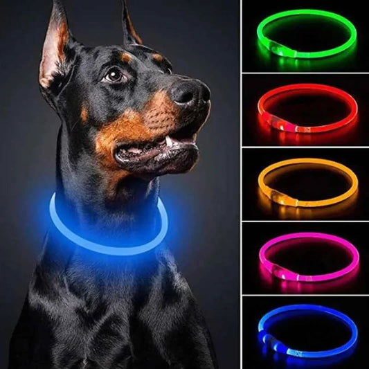 NightGlow USB Rechargeable LED Safety Collar – High-Visibility Cut-to-Fit Loss Prevention Collar