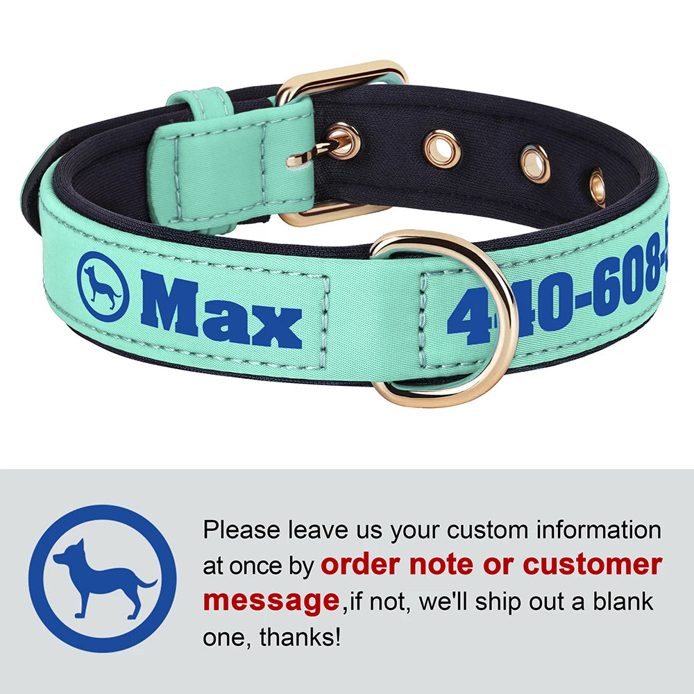 Personalized Breathable Nylon Dog Collar with Soft Padding