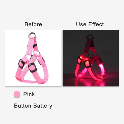 LumiPaws LED Safety Harness – Adjustable No-Pull Night-Glow Vest