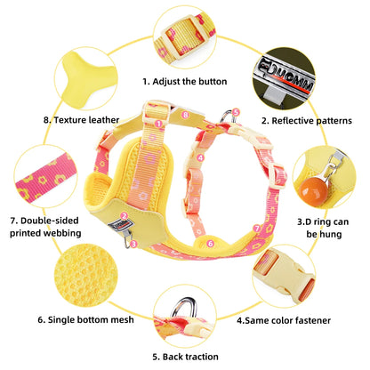 Vibrant Gradient No-Pull Dog Harness & Leash Set for Small Dogs