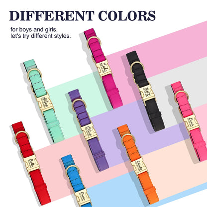 PawSecure Custom Engraved Nylon Dog Collar – Anti-Lost Waterproof Protection for All Breeds