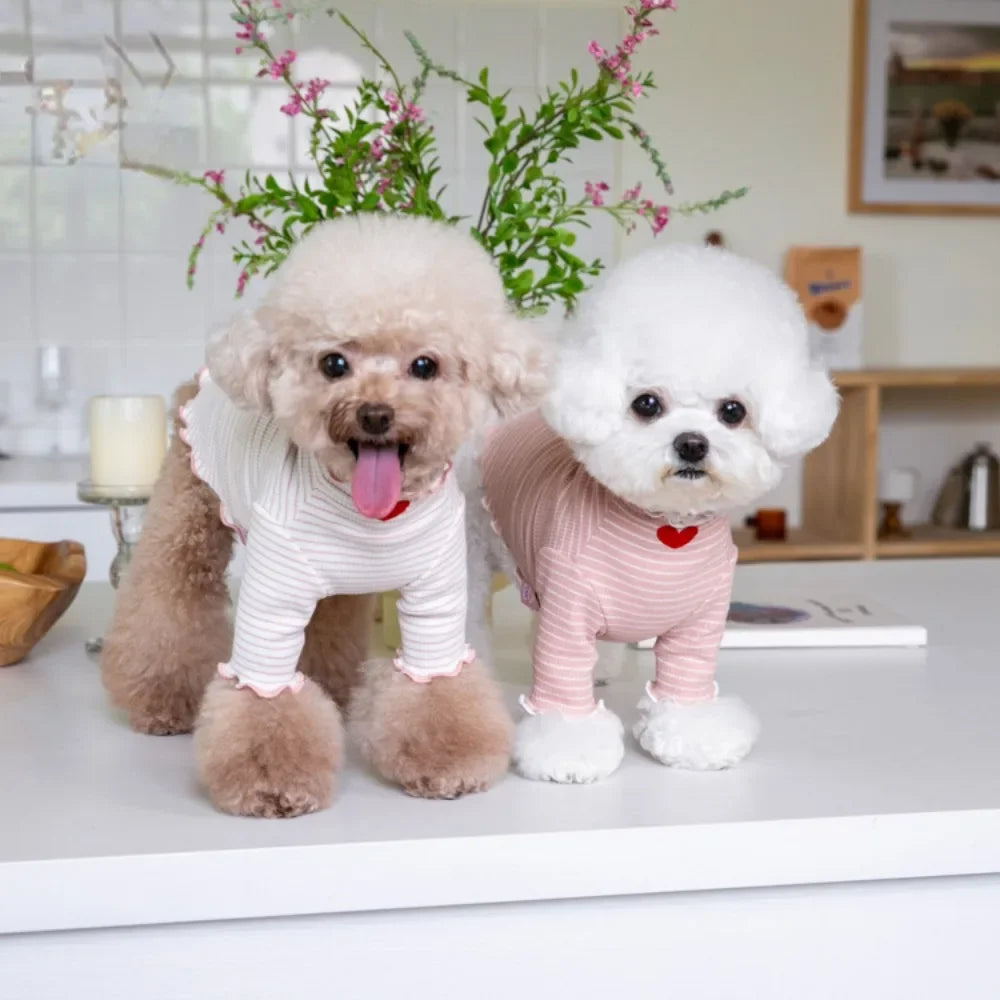 CozyStripe Embroidered Wool Pet T-Shirt – Sweet Autumn/Winter Elegance