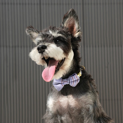 BowtieCharm Personalized Dog & Cat Collar – Custom Engraved Nameplate for Small and Toy Breeds
