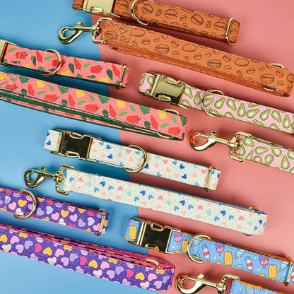 Vibrant Paws Luxury Double-Sided Collar & Leash Set – Adjustable and Colorful for All Dogs