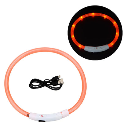 NightGlow USB Rechargeable LED Safety Collar – High-Visibility Cut-to-Fit Loss Prevention Collar