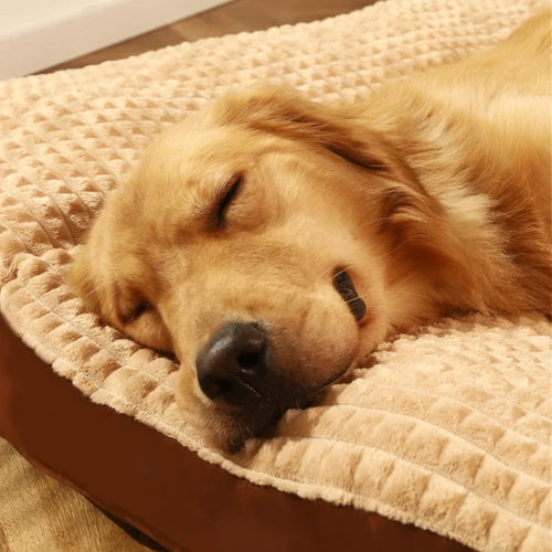 Warm Dog Sleeping Bed