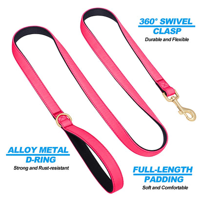 Vibrant Nylon Dog Leash – Heavy-Duty Walking Lead with Soft Padded Handle