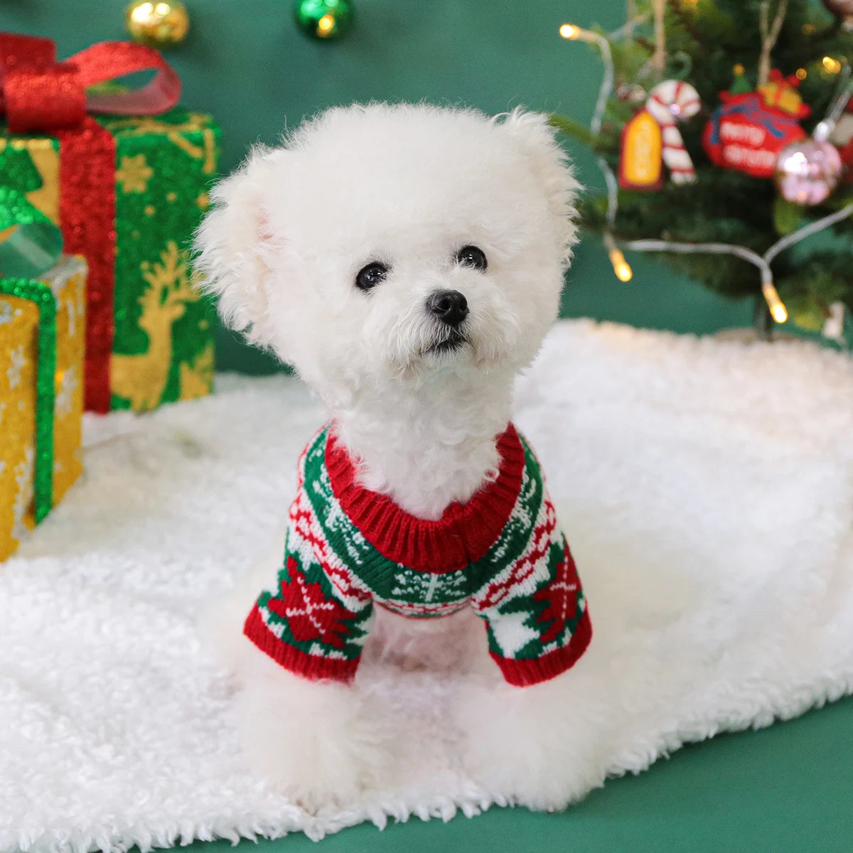 Cozy Christmas Rudolph Elk Sweater - Festive Knitwear for Your Pet