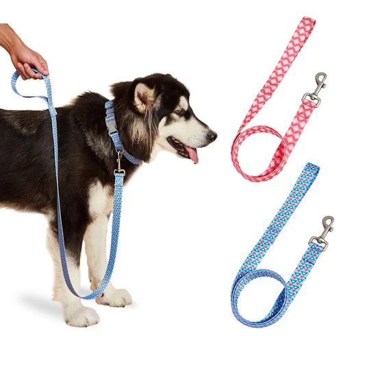 SilkPrint Comfort Leash – Vibrant Nylon Lead for Stylish Walk