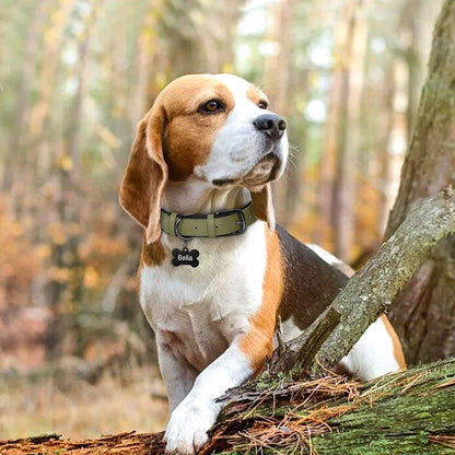 Soft Padded PU Leather Dog Collar – Stylish Comfort for All Breeds