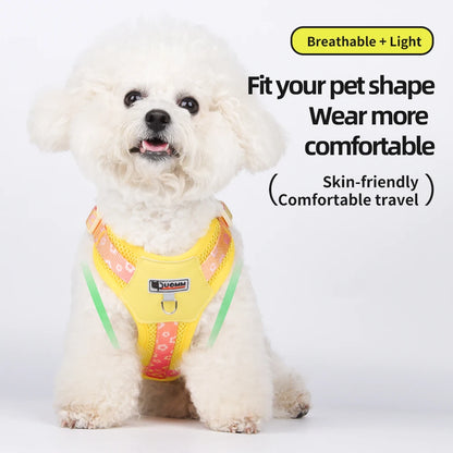 Vibrant Gradient No-Pull Dog Harness & Leash Set for Small Dogs