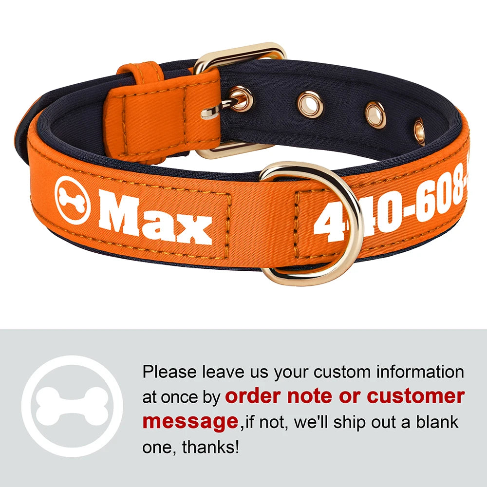 Personalized Breathable Nylon Dog Collar with Soft Padding