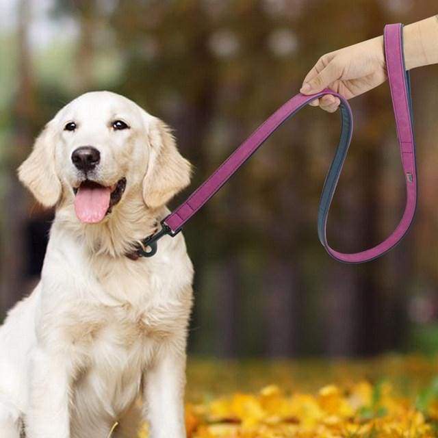 [Customize_Collars] - Puppie Collars