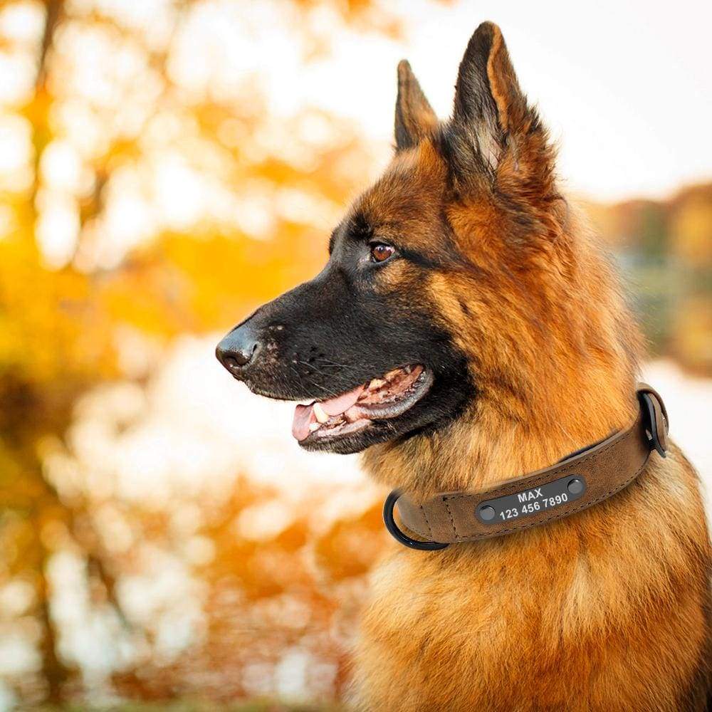 [Customize_Collars] - Puppie Collars
